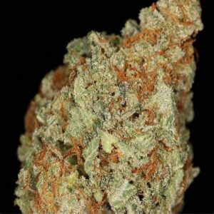 Buy NYC Diesel Strain Online