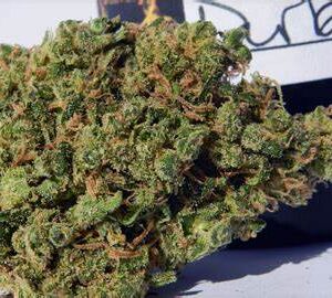 Buy Durban Poison Strain Online