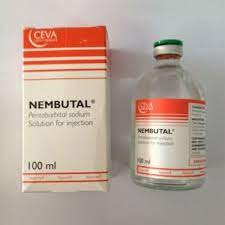 You can reach us anytime, anywhere. We always respond to our customers within a few moments and help them with their queries. With us, you do not have to either worry about the quality of medicines or the delivery status. You may give a call, email, or text to us and Nembutal Phenobarbital for sale in a convenient manner. Connect now!