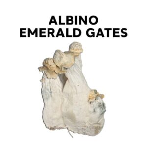 Albino-Emerald-Gates