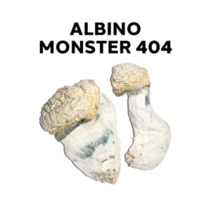 Buy Albino Monster 404 Mushrooms Online