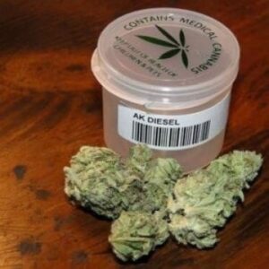 Buy AK Diesel Sativa Strain Online