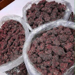 Buy Bubble Gum X2 Strain Online