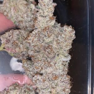 Buy Berry White Weed Strain Online