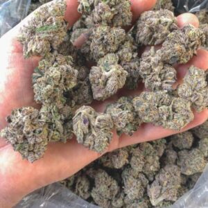 Buy Cannalope Haze Strain Online