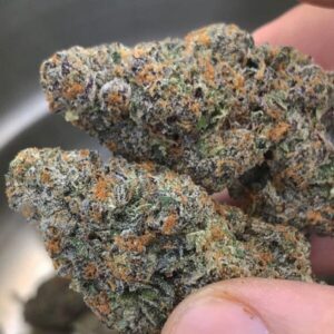 Buy Grand Daddy Purple Strain Online