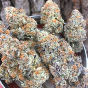 Buy Jedi Kush Indica Strain Online