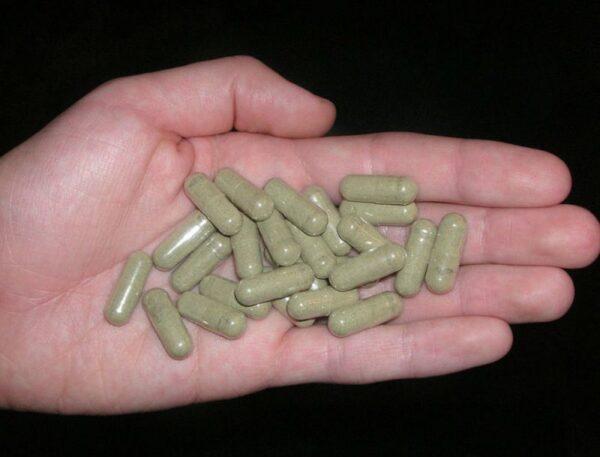 Buy Mescaline Capsules Online