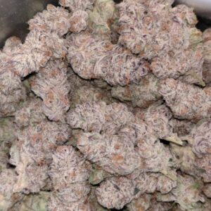 Buy Super Jack Strain Online