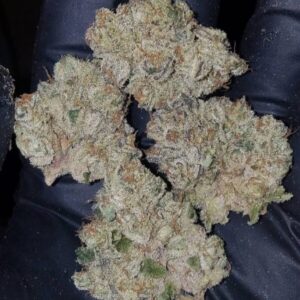 Buy Do Si Dos Strain Online