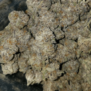 Buy Dr Who Weed Strain Online