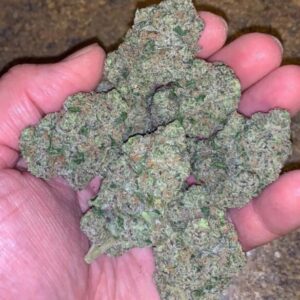 Buy Gorilla Glue Strain Online