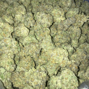 Buy Gucci OG Strain Online