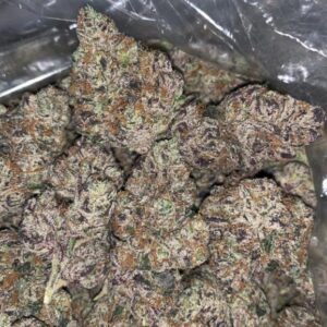 Buy Head Cheese Strain Online