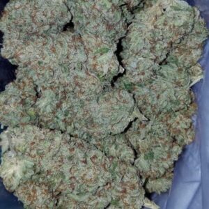 Buy Jacks Girl Strain Online