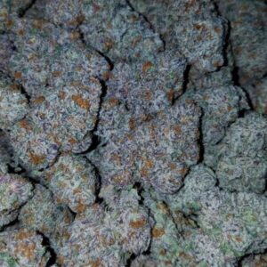 Buy Super Silver Haze Strain Online