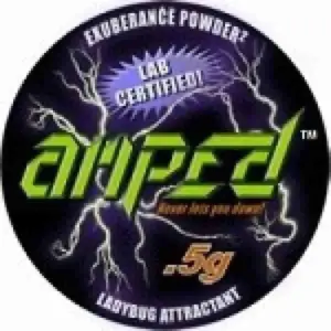 Buy Amped Novelty Powder Online