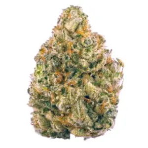 Buy Cookies Gelato Strain Online