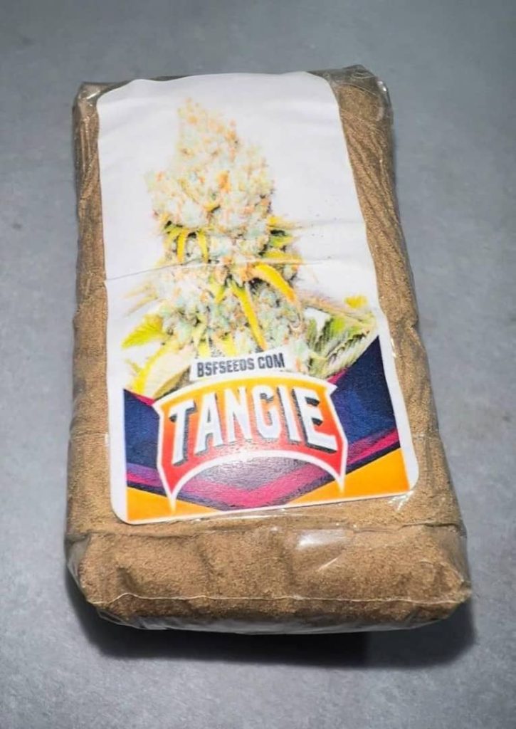 Buy Tangie Hash Online