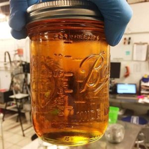 Delta 9 THC Distillate Oil